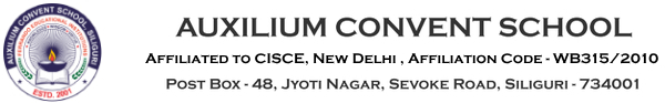 Auxilium Convent School